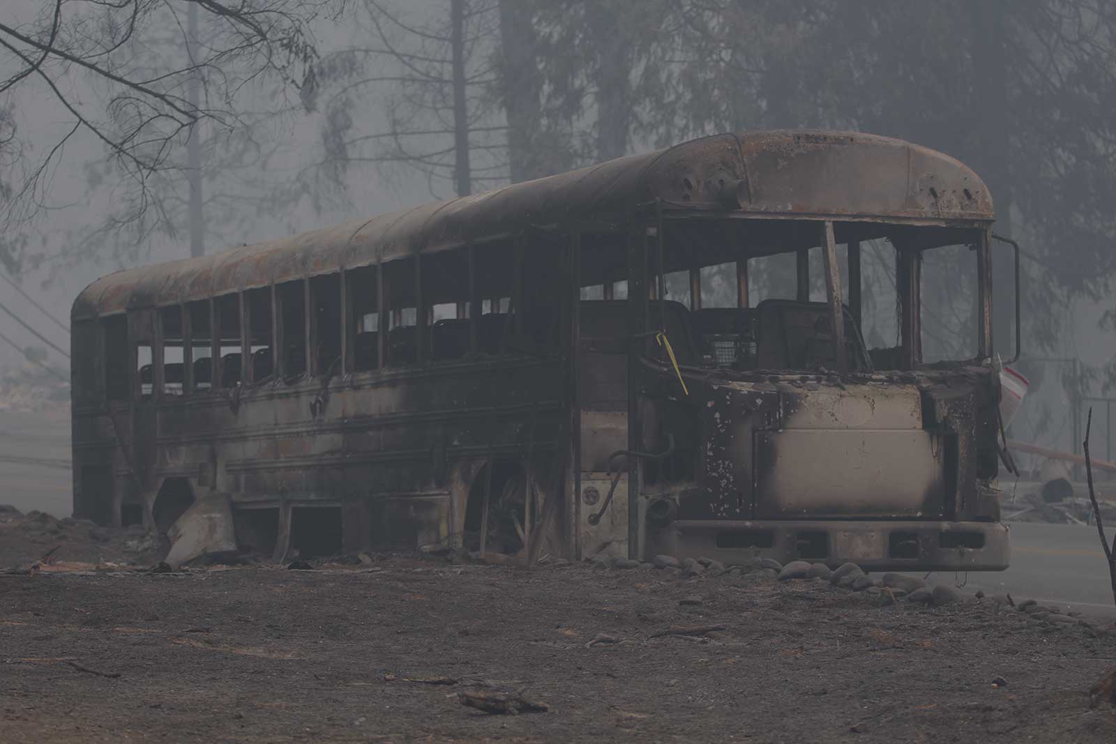 School bus destroyed in Camp wildfire.